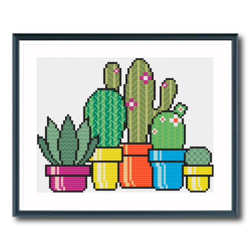 Cactus City
